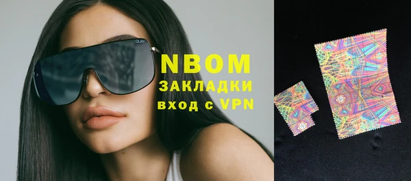 индика Абинск